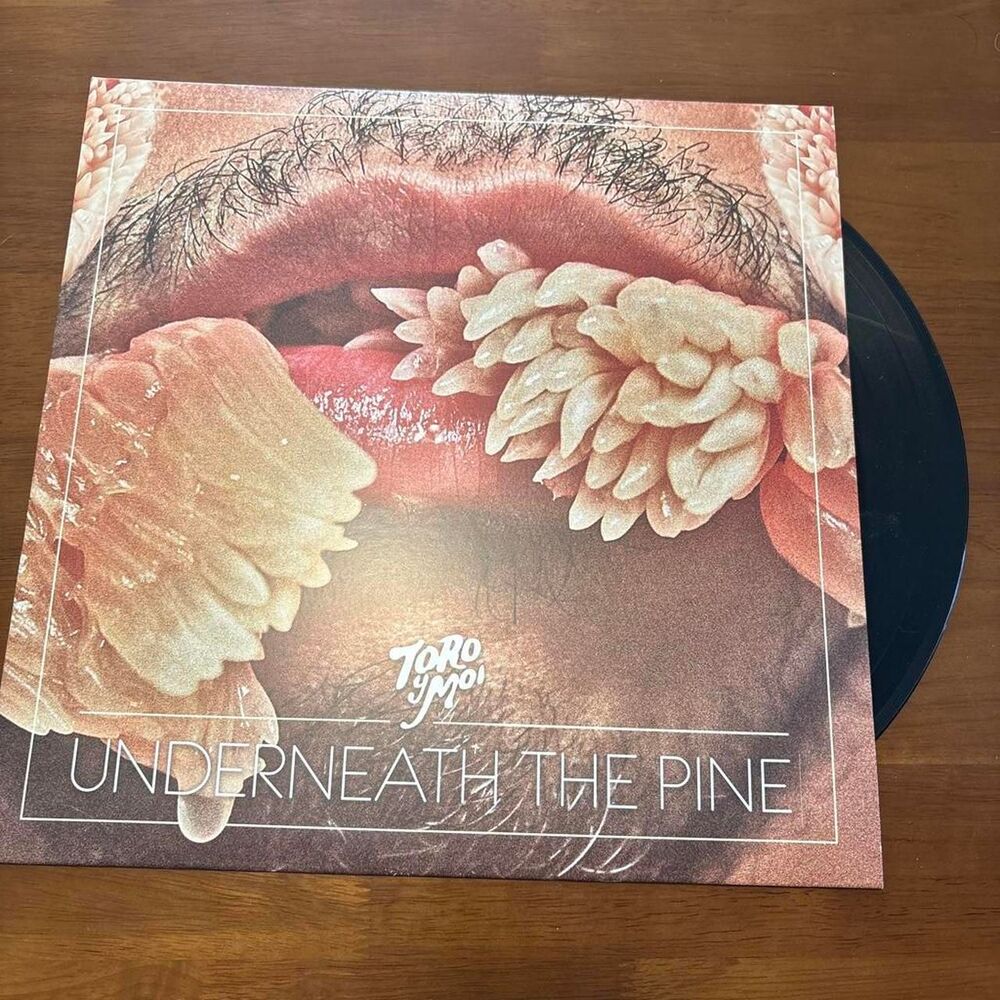 Toro y Moi - "Underneath The Pine" vinyl record